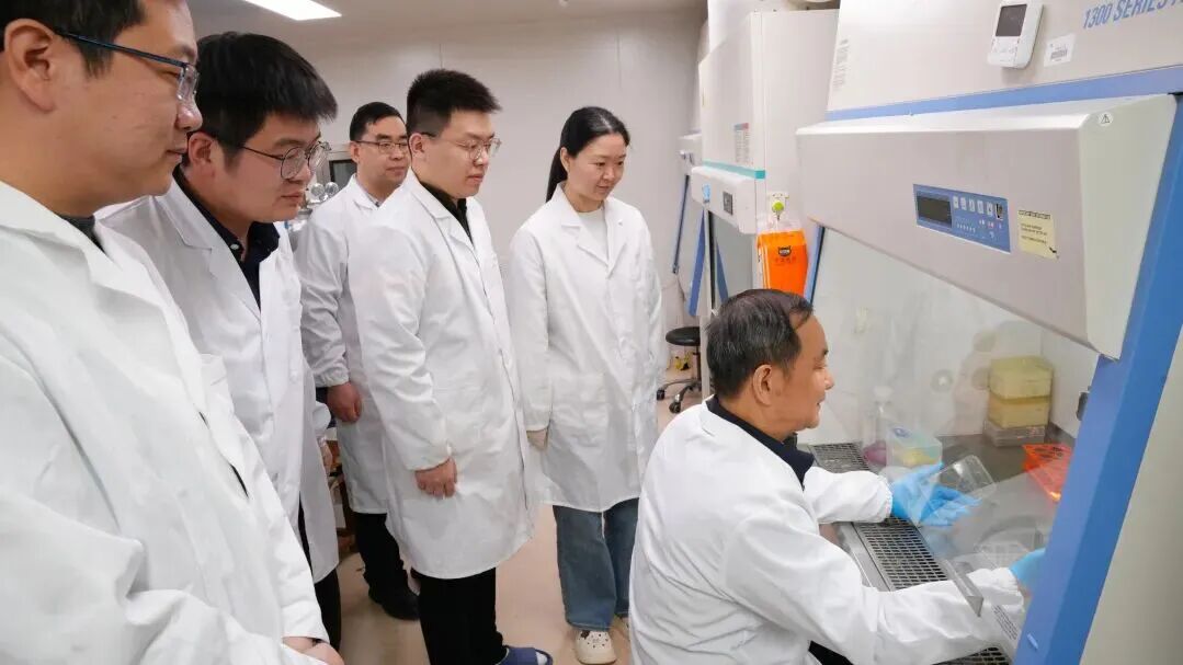 范红结教授指导师生进行疫苗研制