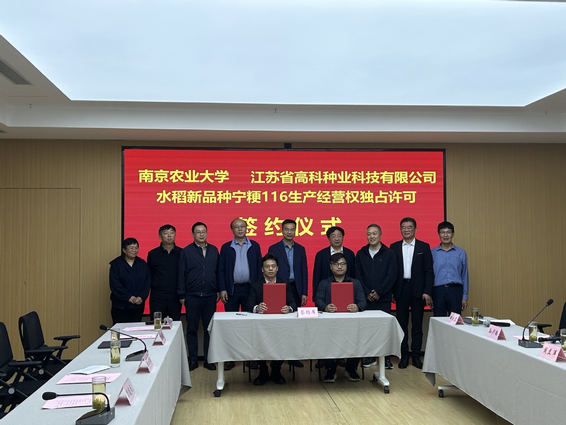 合影 合影