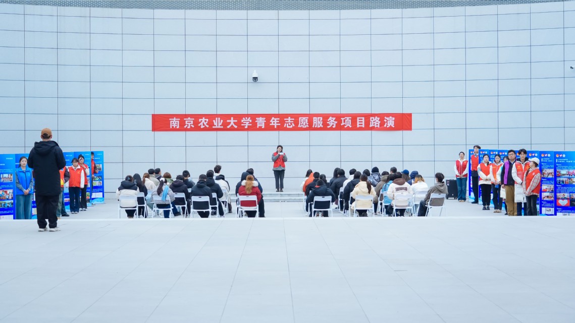 项目路演区 项目路演区