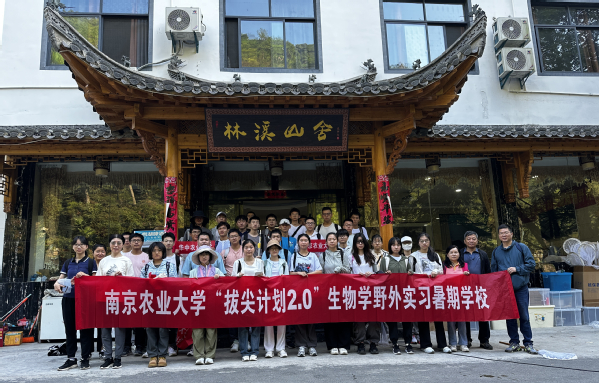 拔尖计划实习