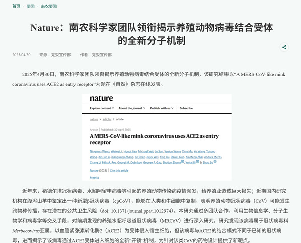 nature发文