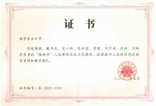 课程思政教学名师及团队